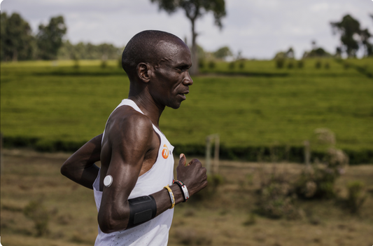 A táplálkozás és a versenyteljesítmény kapcsolata